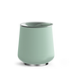 Mint Chip