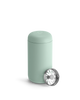 Mint Chip
