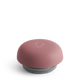 Desert Rose