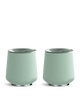 Mint Chip